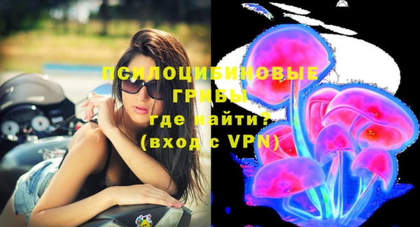 PSILOCYBIN Вязьма